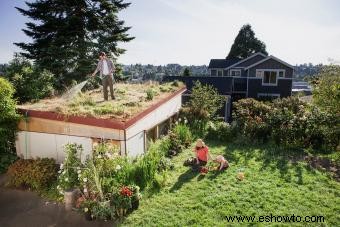 23 mejores plantas de techo para un espacio verde exitoso