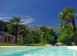 Las mejores plantas para jardines junto a piscinas: Crea tu oasis tropical