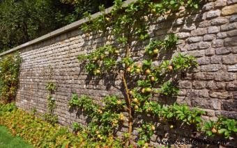 Guía de muros de jardín