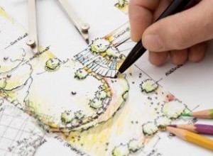 Guía Completa para el Espaciamiento Óptimo de Plantas en Jardines