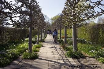 Guía para el espaciamiento de plantas en jardines