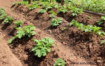 Cómo reparar problemas de drenaje del jardín