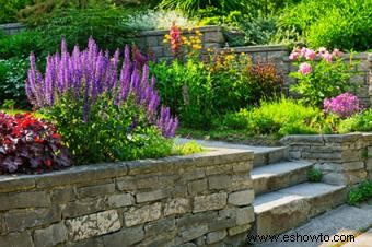 Guía de plantas de paisaje