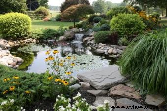 Guía de plantas de paisaje