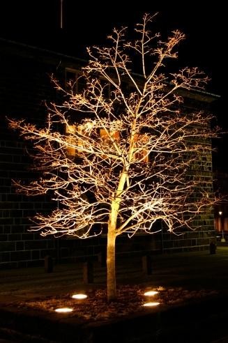 Ideas de iluminación de jardines al aire libre