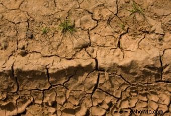 Efectos a largo plazo de la contaminación del suelo 