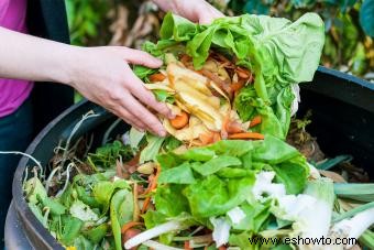 ¿Qué es el compost y cómo se usa? 