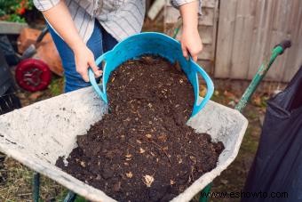 ¿Qué es el compost y cómo se usa? 