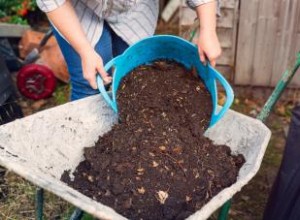 Guía completa del compost: qué es, cómo hacerlo y 8 usos en tu jardín