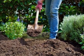 ¿Qué es el compost y cómo se usa? 