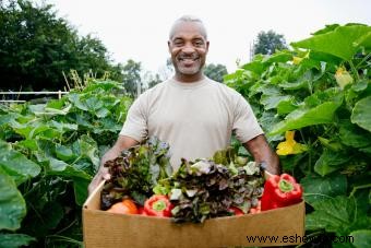 Cuándo fertilizar sus jardines de flores y vegetales