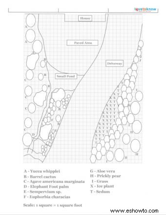 Diseño de jardín paisajístico con suculentas