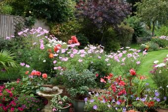 11 flores que huelen mejor para un aroma fragante en tu jardín 
