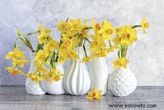 Flores de nacimiento de diciembre:narciso llamativo, poinsettia y acebo 