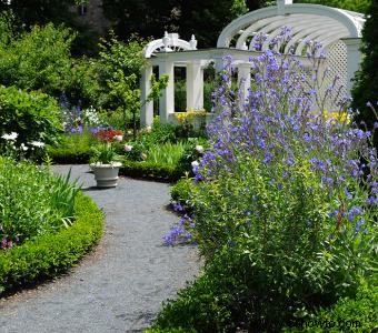 Diseñar un jardín inglés 