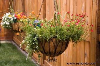 Cómo hacer cestas de flores colgantes