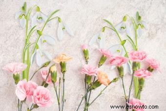Flores de nacimiento de enero:simbolismo del clavel y campanilla blanca