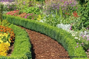 Jardinería de flores silvestres