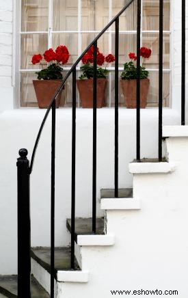 Jardines de ventana