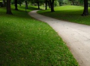 Mejores Semillas de Césped para Zonas de Sombra: Guía Experta por Zonas Climáticas
