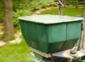 ¿Cuándo fertilizar el jardín? Guía experta por clima y estaciones para un césped perfecto