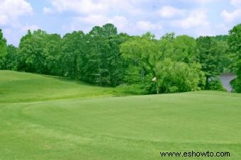 Zoysia Sod