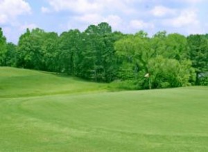 Césped Zoysia en Rollos: Guía Completa de Beneficios e Instalación