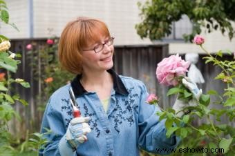 Jardinería:cuidar las rosas 
