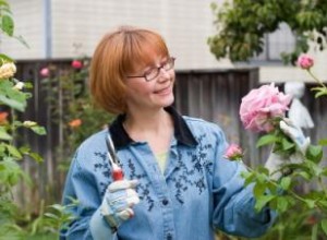 Guía Completa para Cuidar Rosas: Consejos Expertos de Jardinería