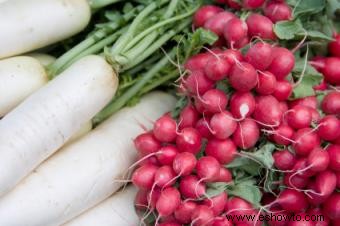 Qué vegetales crecen bien juntos