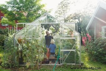 Guía de huerta de otoño para una cosecha abundante