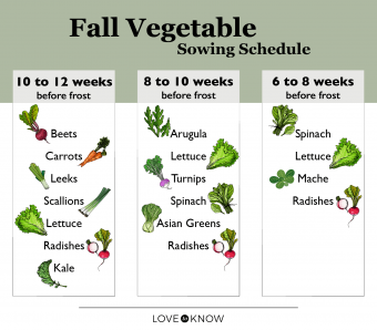 Guía de huerta de otoño para una cosecha abundante