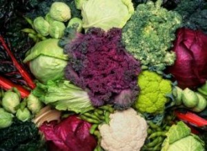 Huertos de Otoño por Región: Guía Experta para Cultivos de Temporada Fría