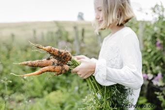 Guía de huerta de otoño para una cosecha abundante