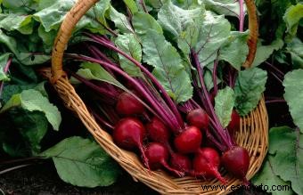 Frutas y verduras de crecimiento más rápido