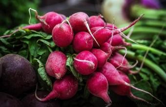 Frutas y verduras de crecimiento más rápido