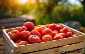 Frutas y verduras de crecimiento más rápido