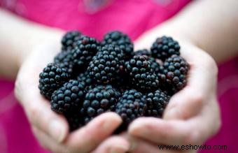 Frutas y verduras de crecimiento más rápido