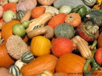 Cultivo de hortalizas de otoño en Carolina del Sur