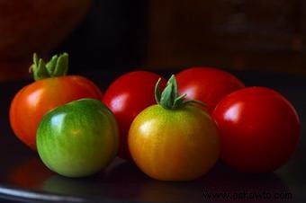 Cómo cultivar tomates