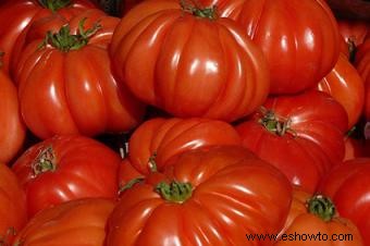 Cómo cultivar tomates