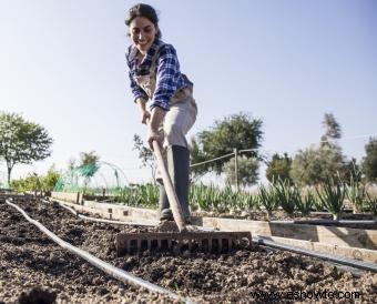 Cómo plantar tomates para obtener mejores resultados