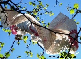 Bolsas de plástico biodegradables