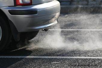 Cómo medir y fijar el precio de los créditos de carbono