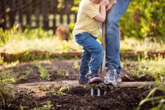 Diez maneras de conservar el suelo