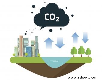 Diagrama del ciclo del carbono