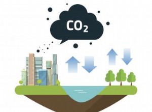 Diagrama del ciclo del carbono