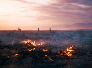 Causas Principales de la Degradación Ambiental: Impactos Humanos y Naturales