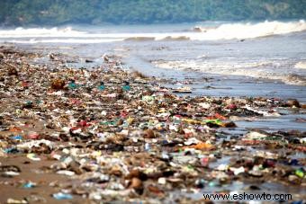 Causas de la degradación ambiental