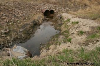 Causas de la degradación ambiental